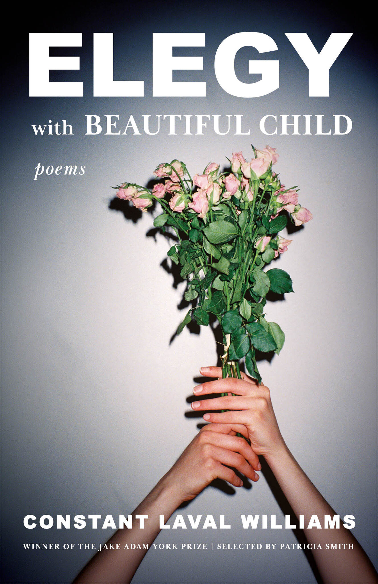Cover image for Elegy with Beautiful Child ISBN 9781639552054